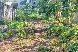 Tanah Disewa di Canggu Strategis dan Memiliki Luas 1000m2 Tanah Disewa di Canggu Strategis dan Memiliki Luas 1000m2