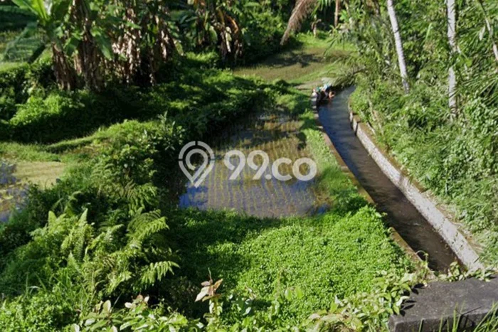 Tanah Disewa di Pejeng Kaja Strategis dan Memiliki Luas 2000m2 Tanah Disewa di Pejeng Kaja Strategis dan Memiliki Luas 2000m2