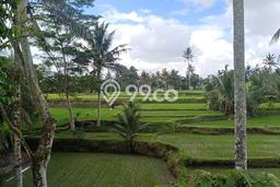 Dijual Tanah 1014m2 di Pejeng Kangin, Gianyar Dijual Tanah 1014m2 di Pejeng Kangin, Gianyar