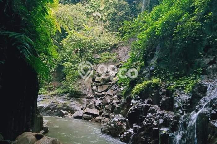 Tanah Disewakan Lokasi Gianyar Seluas 4000m2 Strategis dan Aman Tanah Disewakan Lokasi Gianyar Seluas 4000m2 Strategis dan Aman