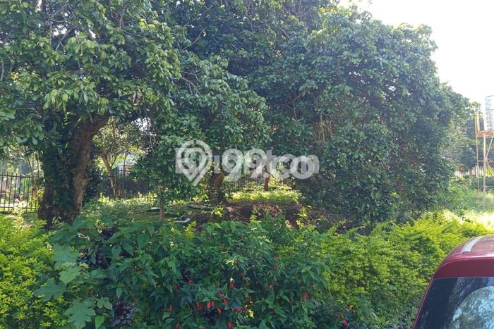Lahan Strategis di Bandungan Semarang Disewakan dengan Luas 3000m2 Lahan Strategis di Bandungan Semarang Disewakan dengan Luas 3000m2