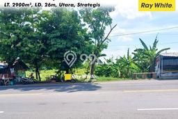 Kavling Tanah Dijual di Colomadu, Karanganyar, Luas 2900m2 Area Strategis Kavling Tanah Dijual di Colomadu, Karanganyar, Luas 2900m2 Area Strategis