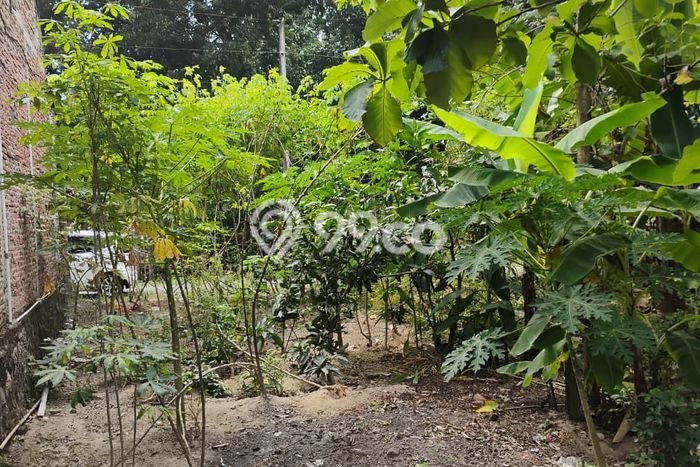 Lahan Kosong Dijual di Sukoharjo dengan Area 100m2 Lahan Kosong Dijual di Sukoharjo dengan Area 100m2