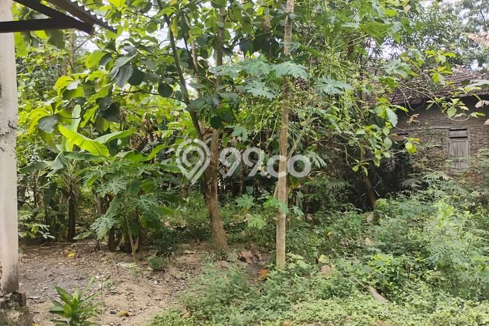 Lahan Kosong Dijual di Sukoharjo dengan Area 100m2 Lahan Kosong Dijual di Sukoharjo dengan Area 100m2