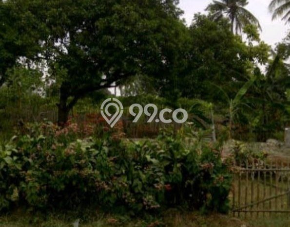 Kavling Tanah Dijual di Serpong, Tangerang Selatan, Luas 9450m2 Area Strategis Kavling Tanah Dijual di Serpong, Tangerang Selatan, Luas 9450m2 Area Strategis