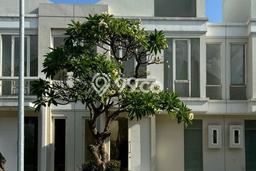 Jarang Ada! Rumah Kontrakan 2 Kamar Bagus Siap Huni Pakuwon Jarang Ada! Rumah Kontrakan 2 Kamar Bagus Siap Huni Pakuwon