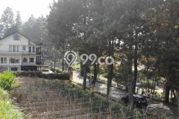 Tanah Kavling Dijual di Bandung Utara, Bandung dengan Luas Tanah 650m2 Tanah Kavling Dijual di Bandung Utara, Bandung dengan Luas Tanah 650m2