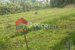 Jarang Ada! Tanah di Gampengrejo Punya Luas 1954m2 AJB Jarang Ada! Tanah di Gampengrejo Punya Luas 1954m2 AJB