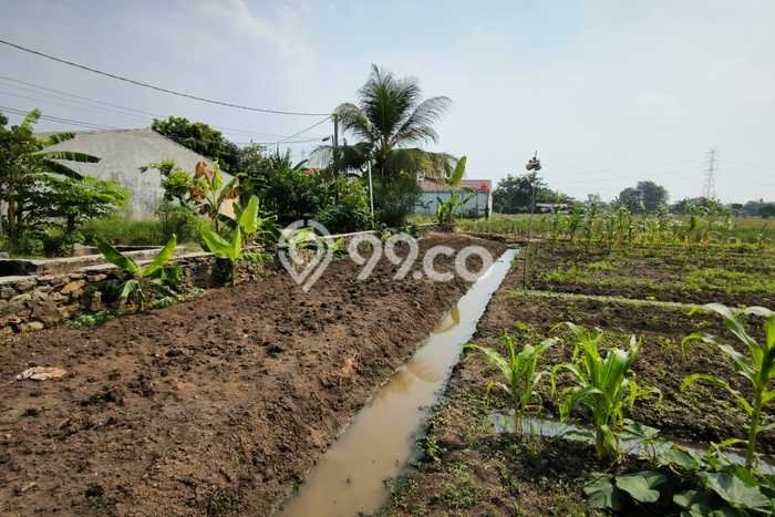 Tanah Kavling untuk Dijual di Tambun Utara Bekasi 2550m2 Tanah Kavling untuk Dijual di Tambun Utara Bekasi 2550m2