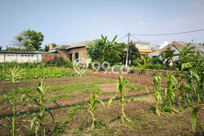 Tanah Kavling untuk Dijual di Tambun Utara Bekasi 2550m2 Tanah Kavling untuk Dijual di Tambun Utara Bekasi 2550m2