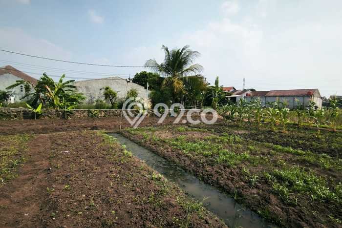 Tanah Kavling untuk Dijual di Tambun Utara Bekasi 2550m2 Tanah Kavling untuk Dijual di Tambun Utara Bekasi 2550m2
