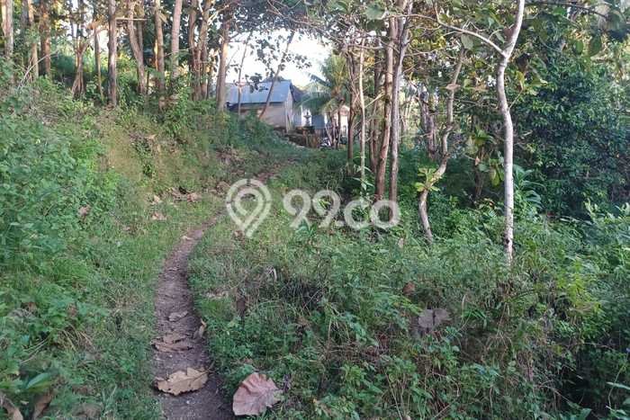 Tanah Kavling Dijual di Klungkung dengan Spesifikasi 13700m2 Tanah Kavling Dijual di Klungkung dengan Spesifikasi 13700m2
