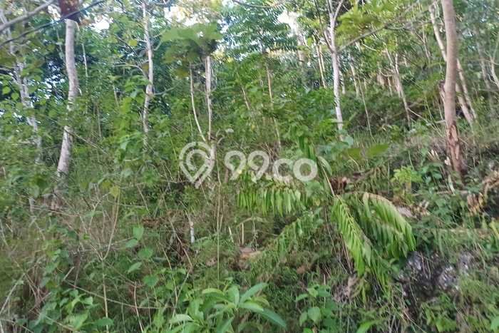Tanah Kavling Dijual di Klungkung dengan Spesifikasi 13700m2 Tanah Kavling Dijual di Klungkung dengan Spesifikasi 13700m2