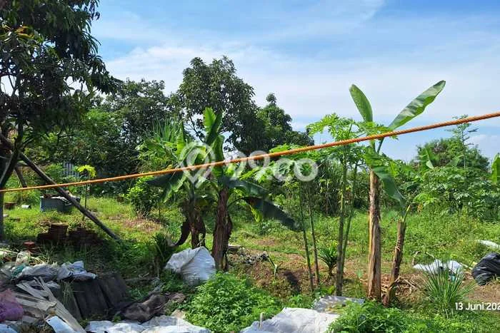 Tanah Strategis Dijual di Katapang Bandung 9659m2 Tanah Strategis Dijual di Katapang Bandung 9659m2