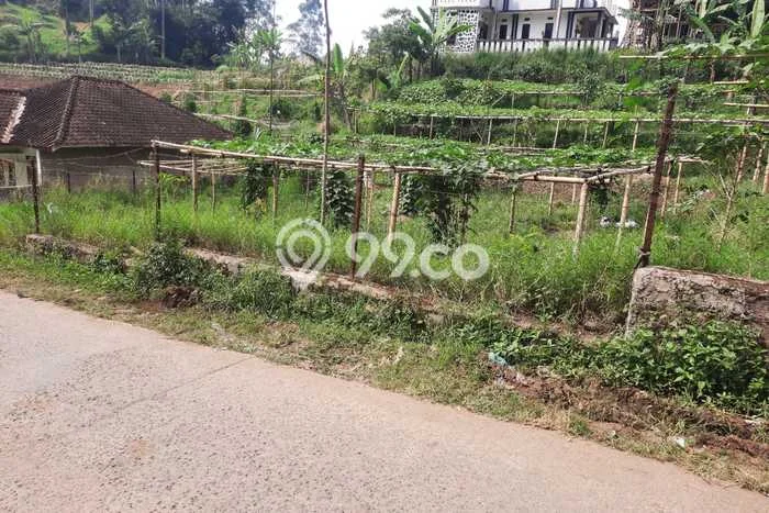 Tanah Strategis Dijual di Ciwidey Bandung 700m2 Tanah Strategis Dijual di Ciwidey Bandung 700m2