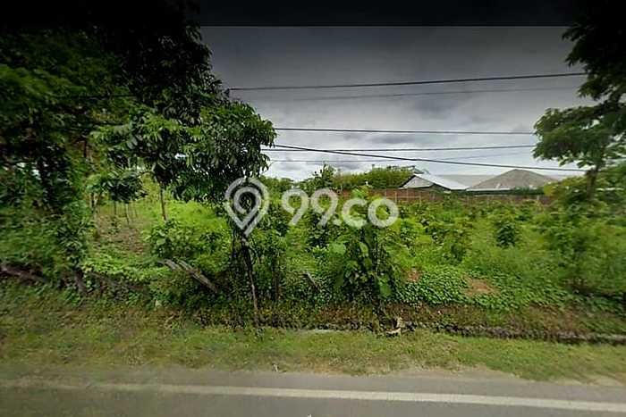 Lahan Dijual Lokasi Widang, Tuban dengan Luas Tanah 25000m2 dan Status SHM Lahan Dijual Lokasi Widang, Tuban dengan Luas Tanah 25000m2 dan Status SHM