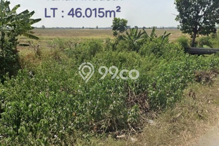 Kavling Tanah Dijual di Ligung, Majalengka, Luas 46000m2 Area Strategis Kavling Tanah Dijual di Ligung, Majalengka, Luas 46000m2 Area Strategis