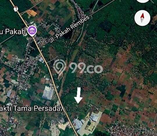 Lahan Dijual Lokasi Widang, Tuban dengan Luas Tanah 25000m2 dan Status SHM Lahan Dijual Lokasi Widang, Tuban dengan Luas Tanah 25000m2 dan Status SHM