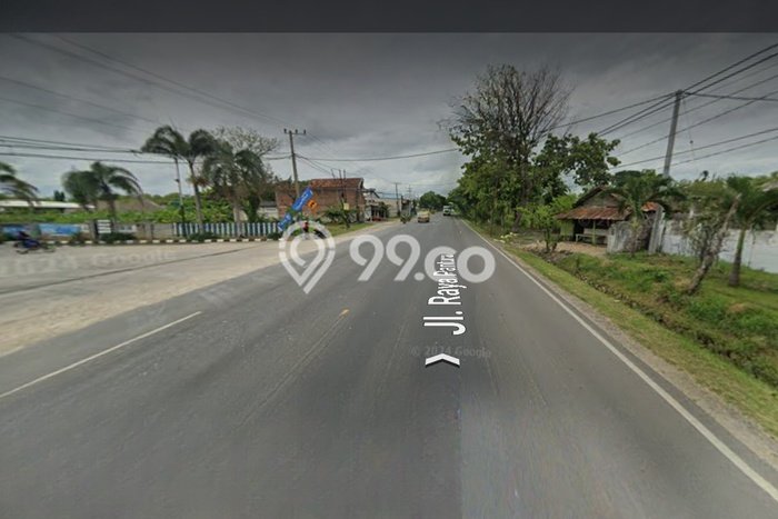 Lahan Dijual Lokasi Widang, Tuban dengan Luas Tanah 25000m2 dan Status SHM Lahan Dijual Lokasi Widang, Tuban dengan Luas Tanah 25000m2 dan Status SHM
