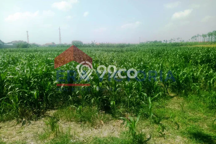 Tanah Komersial Dijual di Mojoroto Kediri 4010m2 Tanah Komersial Dijual di Mojoroto Kediri 4010m2