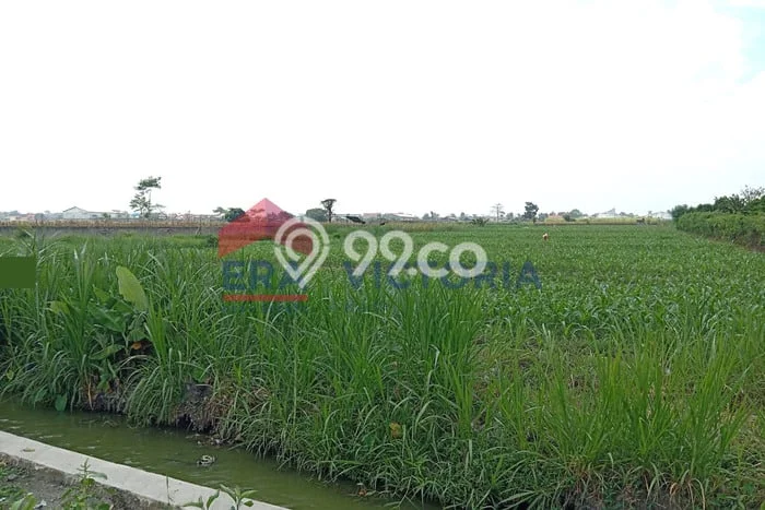 Tanah di Pare, Kediri Luas 3848m2 Dijual Segera Tanah di Pare, Kediri Luas 3848m2 Dijual Segera