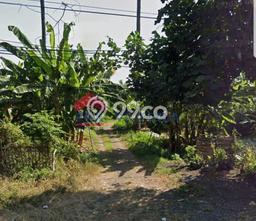 Tanah Strategis Dijual di Bungatan Situbondo 5101m2 Tanah Strategis Dijual di Bungatan Situbondo 5101m2