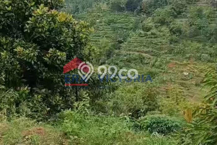 Tanah di Semen, Kediri Luas 1508m2 Dijual Segera Tanah di Semen, Kediri Luas 1508m2 Dijual Segera