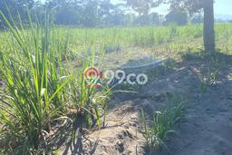 Kavling Tanah di Ngancar Dijual Luas 14440m2 Legalitas SHM Kavling Tanah di Ngancar Dijual Luas 14440m2 Legalitas SHM