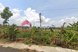 Untuk Dijual Tanah di Ngetos Nganjuk Luas 2666m2 SHM Untuk Dijual Tanah di Ngetos Nganjuk Luas 2666m2 SHM
