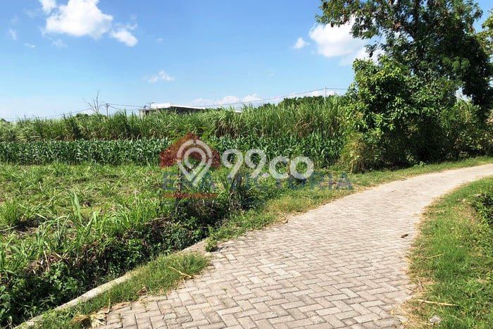 Lahan untuk Dijual Lokasi Ngasem, Kediri Luas 1237m2 SHM Lahan untuk Dijual Lokasi Ngasem, Kediri Luas 1237m2 SHM