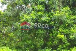Lahan Strategis di Mojoroto Dijual dengan Luas 210m2 Lahan Strategis di Mojoroto Dijual dengan Luas 210m2