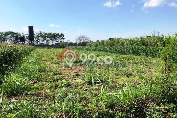 Lahan untuk Dijual Lokasi Ngasem, Kediri Luas 1237m2 SHM Lahan untuk Dijual Lokasi Ngasem, Kediri Luas 1237m2 SHM