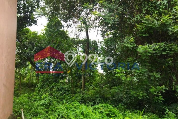 Lahan Strategis di Mojoroto Dijual dengan Luas 210m2 Lahan Strategis di Mojoroto Dijual dengan Luas 210m2
