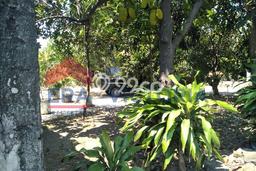 Kavling Tanah Dijual di Sukomoro Nganjuk Spesifikasi 504m2 Kavling Tanah Dijual di Sukomoro Nganjuk Spesifikasi 504m2