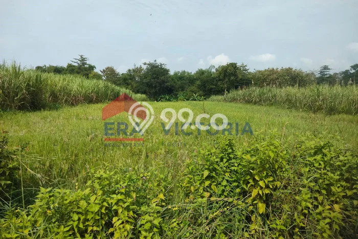 Lahan untuk Dijual di Mojoroto Kediri Luas 2240m2 Lahan untuk Dijual di Mojoroto Kediri Luas 2240m2