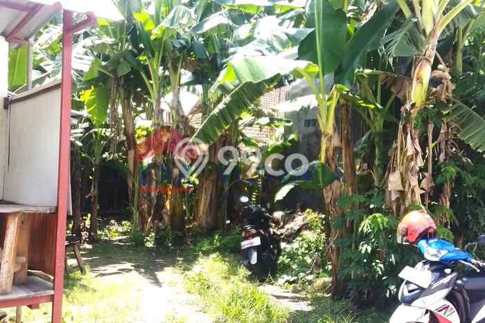 Tanah Dijual Lokasi Ngasem, Kediri Luas 210m2 Legalitas Aman Tanah Dijual Lokasi Ngasem, Kediri Luas 210m2 Legalitas Aman