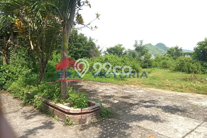 Tanah Disewakan di Trenggalek, Trenggalek, Luas 5200m2 SHM Tanah Disewakan di Trenggalek, Trenggalek, Luas 5200m2 SHM