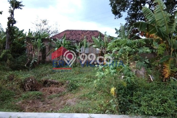 Rumah Modern Cantik 1 KT Bisa Langsung Pindah di Prambon Rumah Modern Cantik 1 KT Bisa Langsung Pindah di Prambon