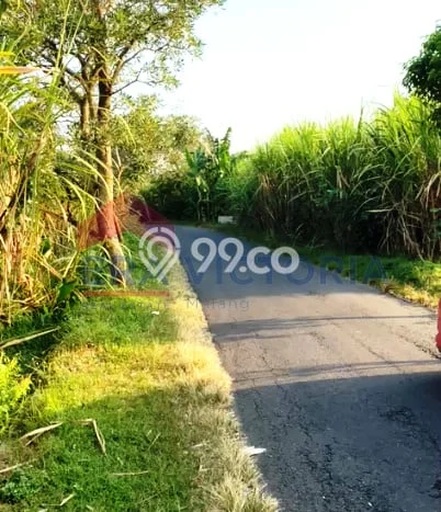 Lahan untuk Dijual di Tulungagung Tulungagung Luas 1050m2 Lahan untuk Dijual di Tulungagung Tulungagung Luas 1050m2
