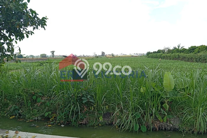 Tanah di Pare, Kediri Luas 3848m2 Dijual Segera Tanah di Pare, Kediri Luas 3848m2 Dijual Segera