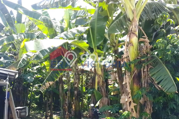 Tanah Dijual Lokasi Ngasem, Kediri Luas 210m2 Legalitas Aman Tanah Dijual Lokasi Ngasem, Kediri Luas 210m2 Legalitas Aman