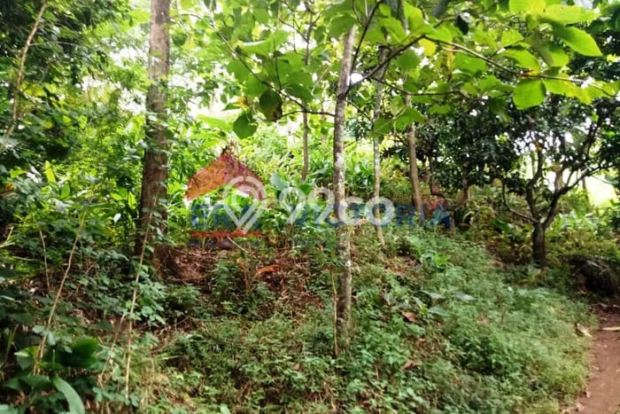 Tanah di Semen, Kediri Luas 2057m2 Dijual Segera Tanah di Semen, Kediri Luas 2057m2 Dijual Segera