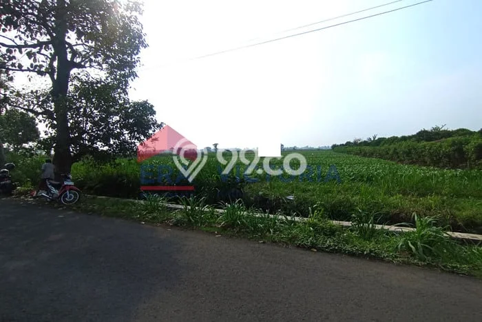 Tanah di Pare, Kediri Luas 3848m2 Dijual Segera Tanah di Pare, Kediri Luas 3848m2 Dijual Segera