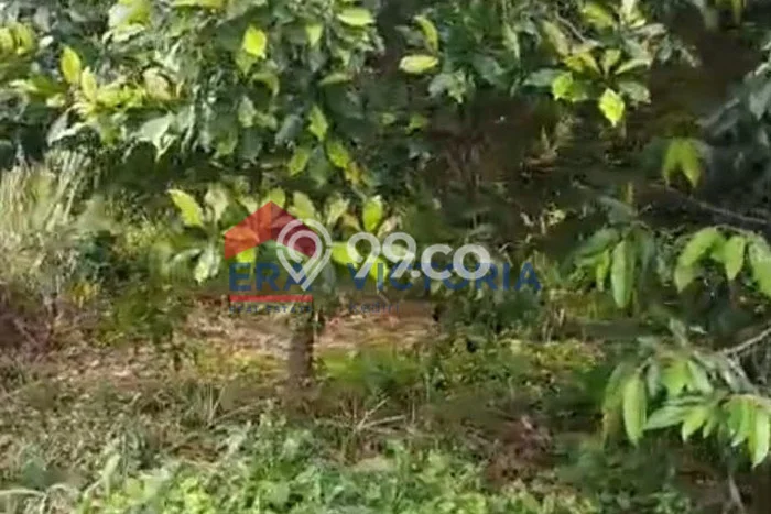 Tanah di Semen, Kediri Luas 1508m2 Dijual Segera Tanah di Semen, Kediri Luas 1508m2 Dijual Segera