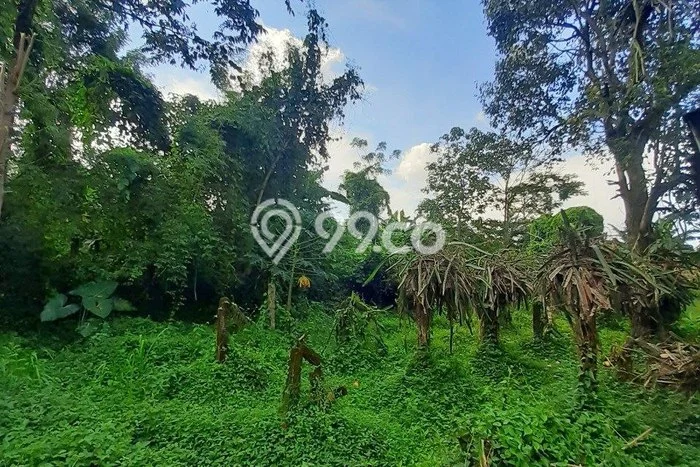 Kavling Tanah di Sukorejo Dijual Luas 5000m2 Legalitas SHM Kavling Tanah di Sukorejo Dijual Luas 5000m2 Legalitas SHM