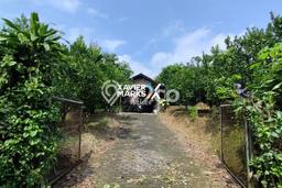 Tanah untuk Dijual di Batu Batu Luas 3418m2 Tanah untuk Dijual di Batu Batu Luas 3418m2
