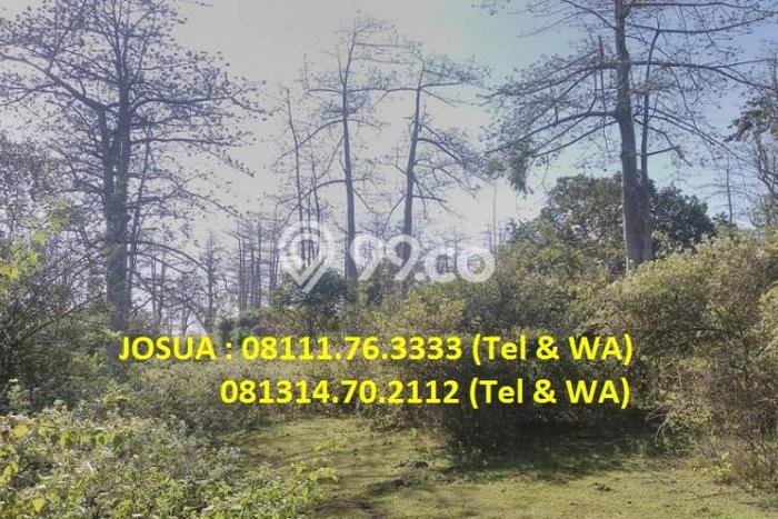 Tanah Investasi Dijual di Badung Punya Luas 102550m2 Tanah Investasi Dijual di Badung Punya Luas 102550m2