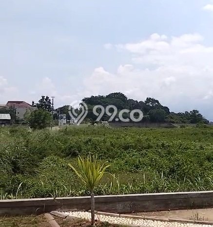 Tanah Kavling untuk Dijual di Cipocok Jaya Serang 30000m2 Tanah Kavling untuk Dijual di Cipocok Jaya Serang 30000m2