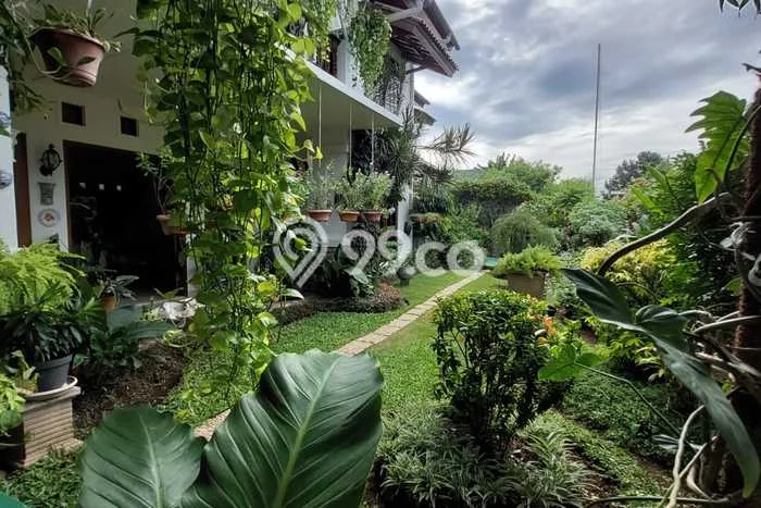 Rumah Elit LB 400m2 Siap Pakai Desain Elegan di Ragunan, Jakarta Selatan Rumah Elit LB 400m2 Siap Pakai Desain Elegan di Ragunan, Jakarta Selatan