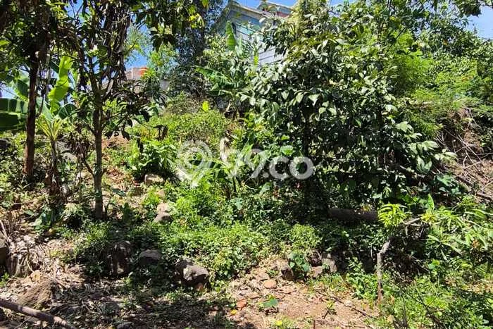 Tanah di Jalaksana, Kuningan Luas 8780m2 Dijual Segera Tanah di Jalaksana, Kuningan Luas 8780m2 Dijual Segera